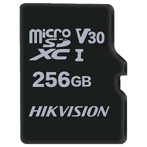 Carte mémoire Hikvision - HS-TF-M1STD-256G