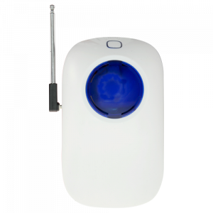 20210920213056_detalle1