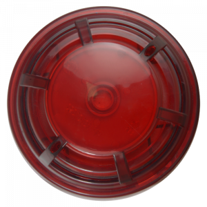 20210920214519_detalle2