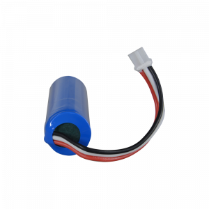 20211204131743_detalle1