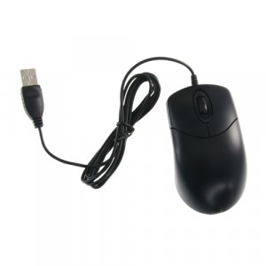 20220404100731_raton