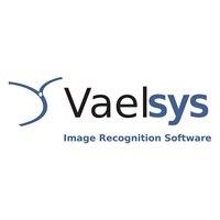 cctv_vaelsys_video_analysis_model_v4-dtp-001